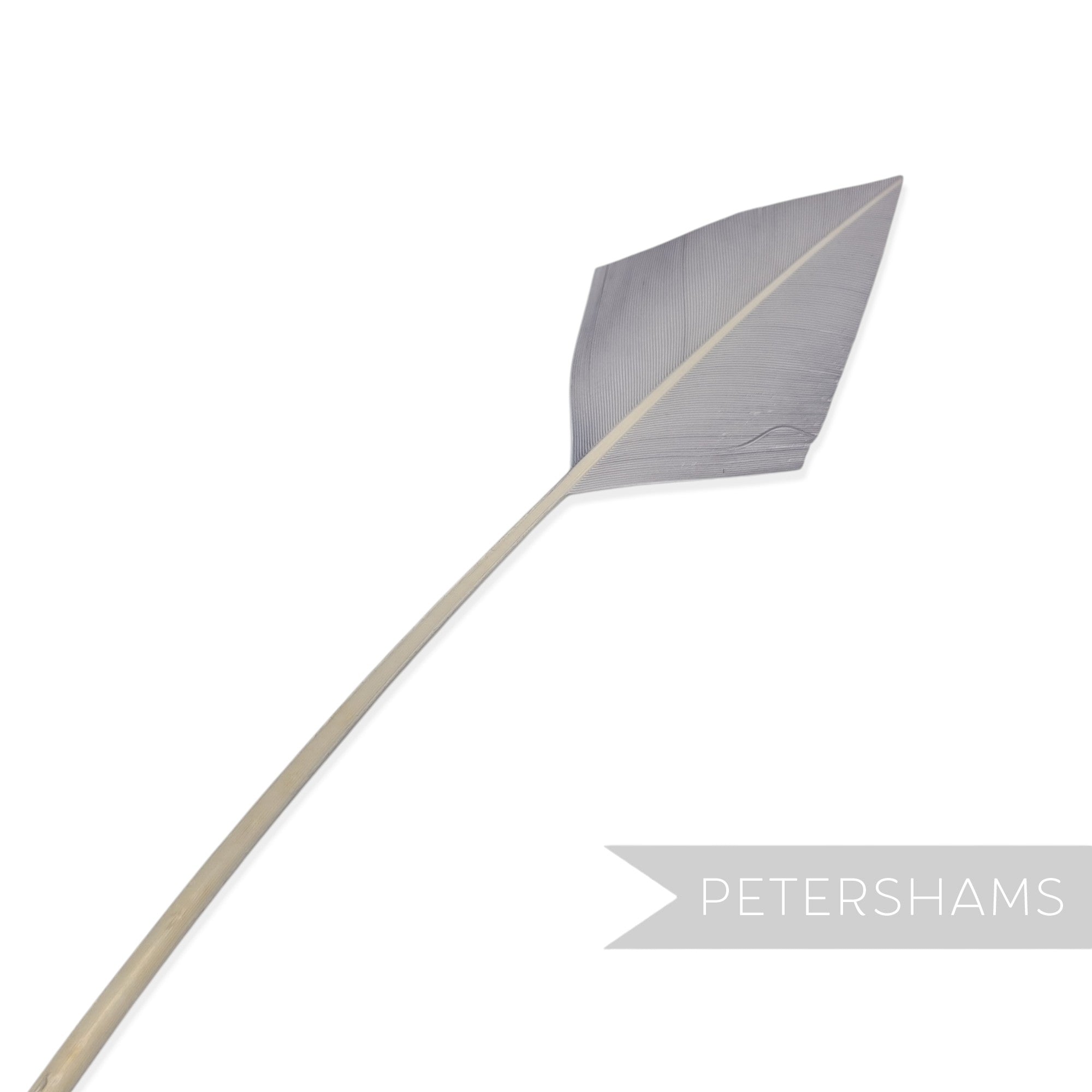 Petershams Millinery Supplies grey arrowhead turkey quill feather for hat and fascinator decoration
