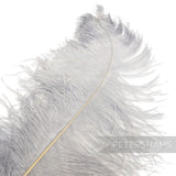 Petershams Millinery Supplies extra large grey ostrich feather for millinery and dramatic costume design
