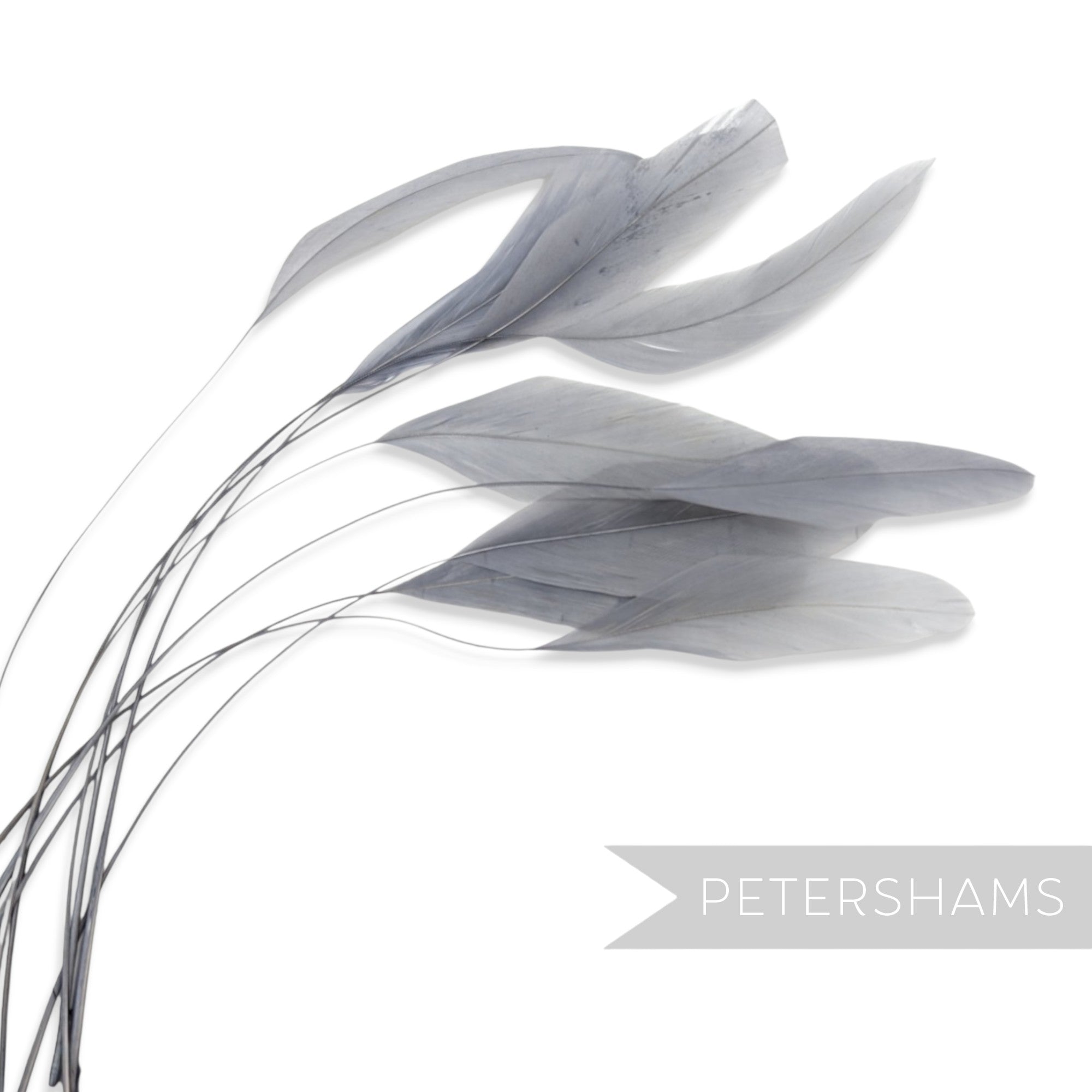 Petershams Millinery Supplies long grey stripped coque feathers for fascinators and millinery projects.
