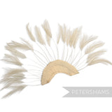 Petershams Millinery Supplies beige stripped hackle feather fan on a cotton base for hat and fascinator trimming.