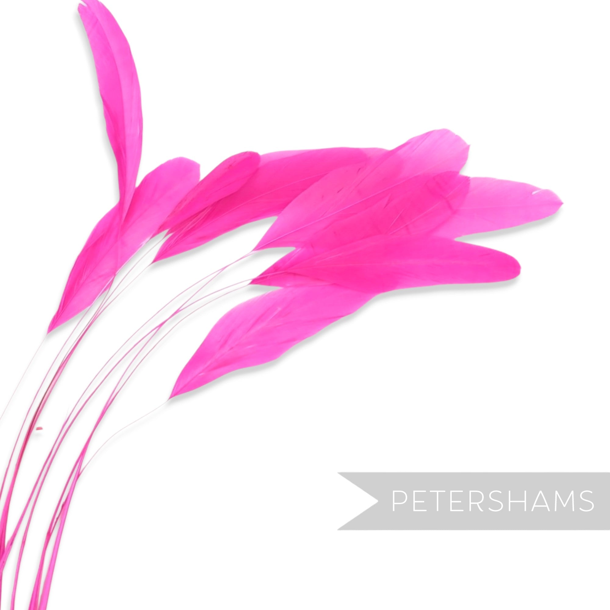 Petershams Millinery Supplies pack of 10 long loose hot pink stripped coque feathers for millinery and fascinators