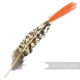Petershams Millinery Supplies Lady Amherst pheasant feather with black and white spotted base and reddish-orange tip.