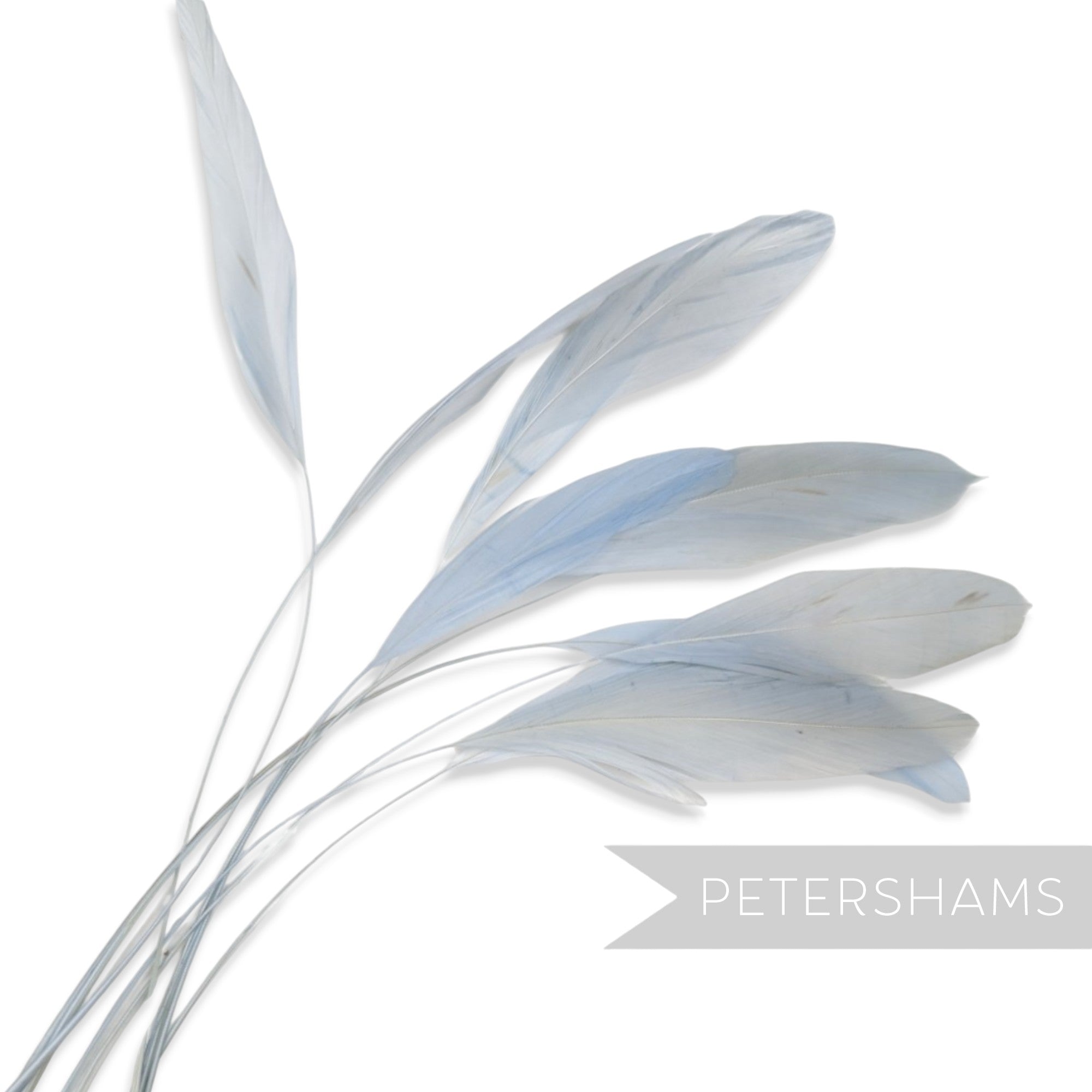 Petershams Millinery Supplies pack of 10 long loose pale blue stripped coque feathers for millinery and fascinators