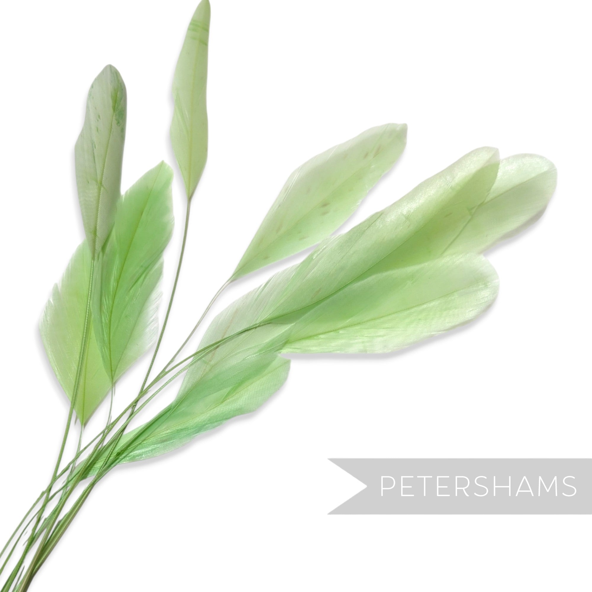 Petershams Millinery Supplies pack of 10 long loose light green stripped coque feathers for millinery and fascinators