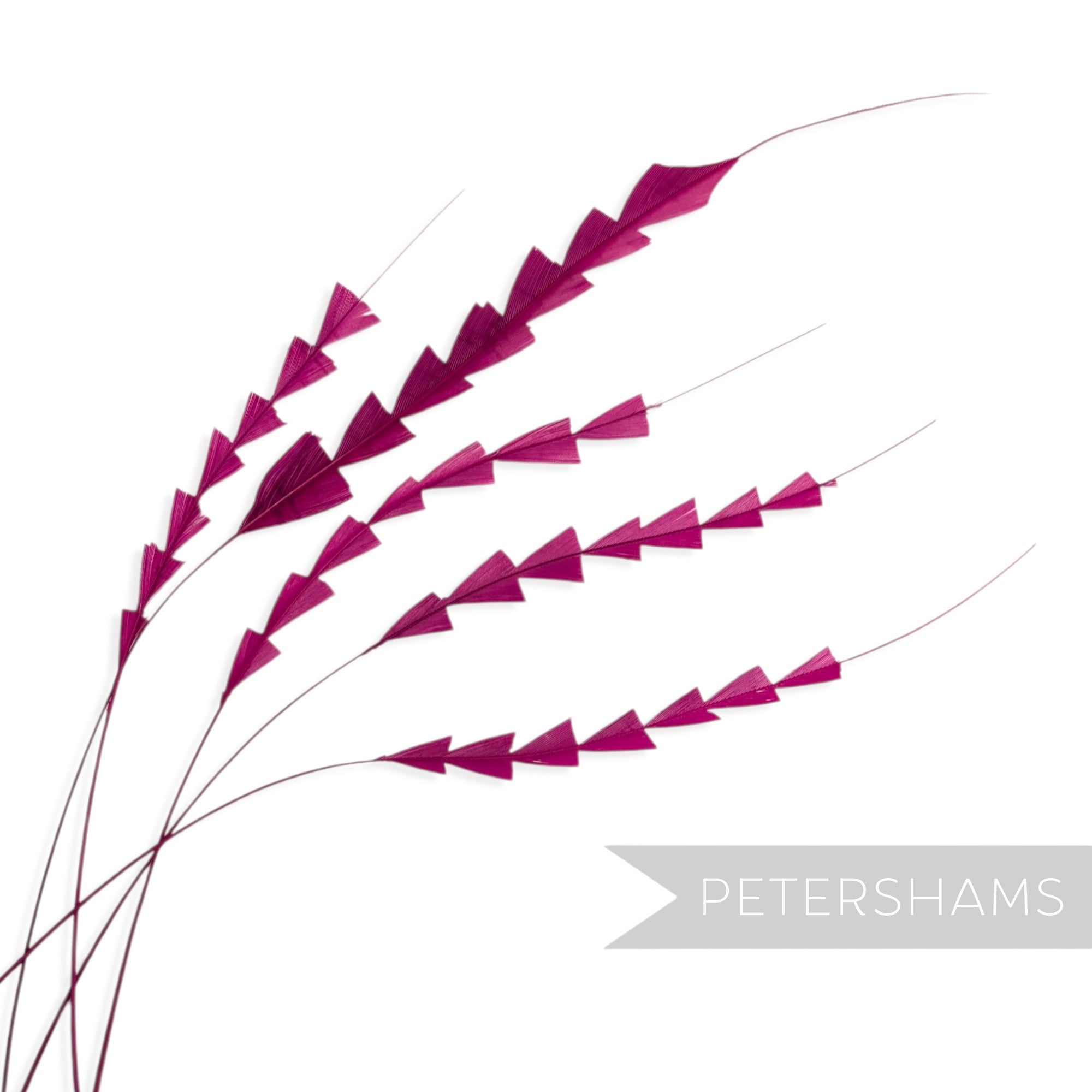 Petershams Millinery Supplies magenta zig zag coque feathers for hat making, pack of five hand-trimmed plumes.