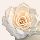 Petershams Millinery Supplies Mandy asymmetric cream fabric flower hat mount with subtle yellowed petal edges