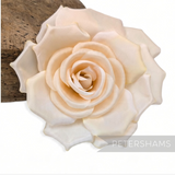 Petershams Millinery Supplies Mandy asymmetric cream fabric flower hat mount with wired stem for millinery projects.