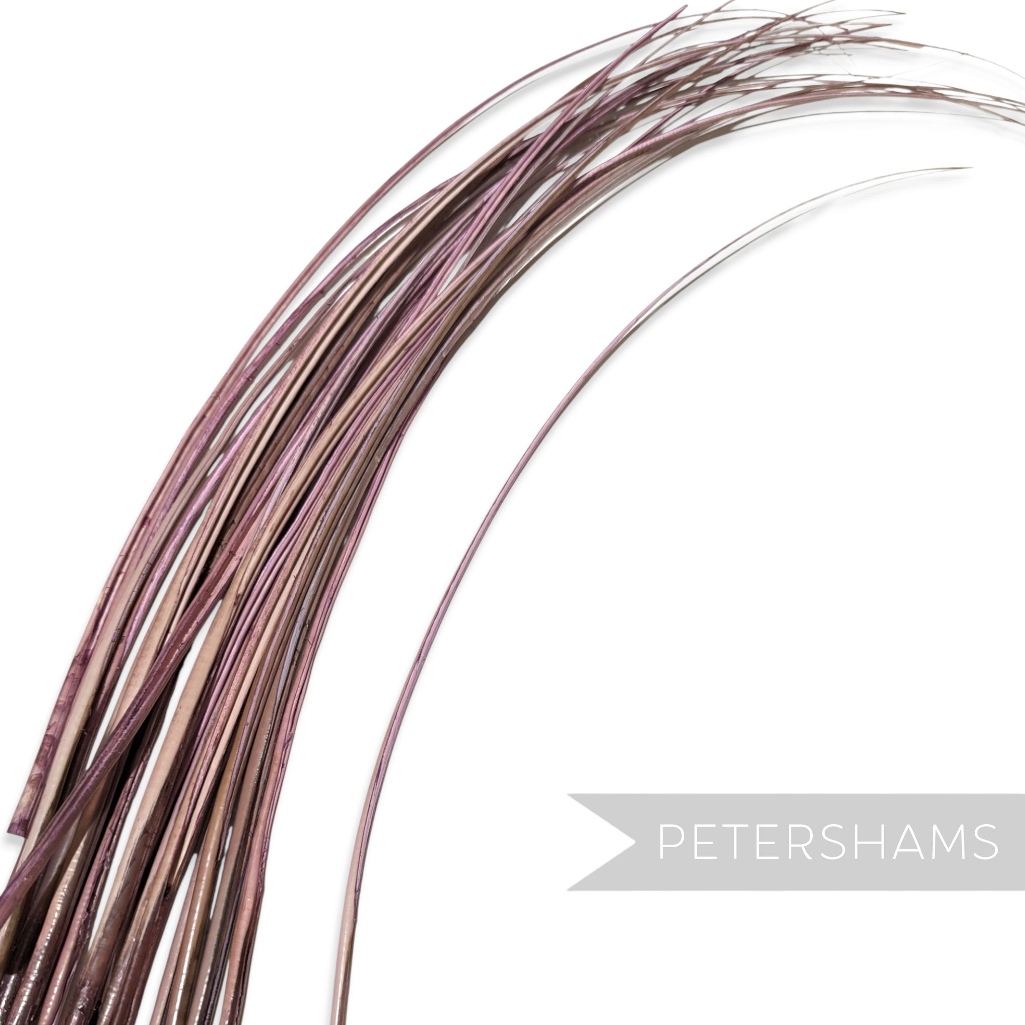 Petershams Millinery Supplies long dusky pink stripped ostrich quill feather for hat making and millinery projects