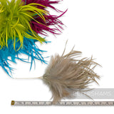 Petershams Millinery Supplies mega fluffy hackle and goose biot feather hat mounts in vibrant green, pink, blue, and tan.