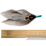 Petershams Millinery Supplies natural speckled feather hat mount with jade blue tape base