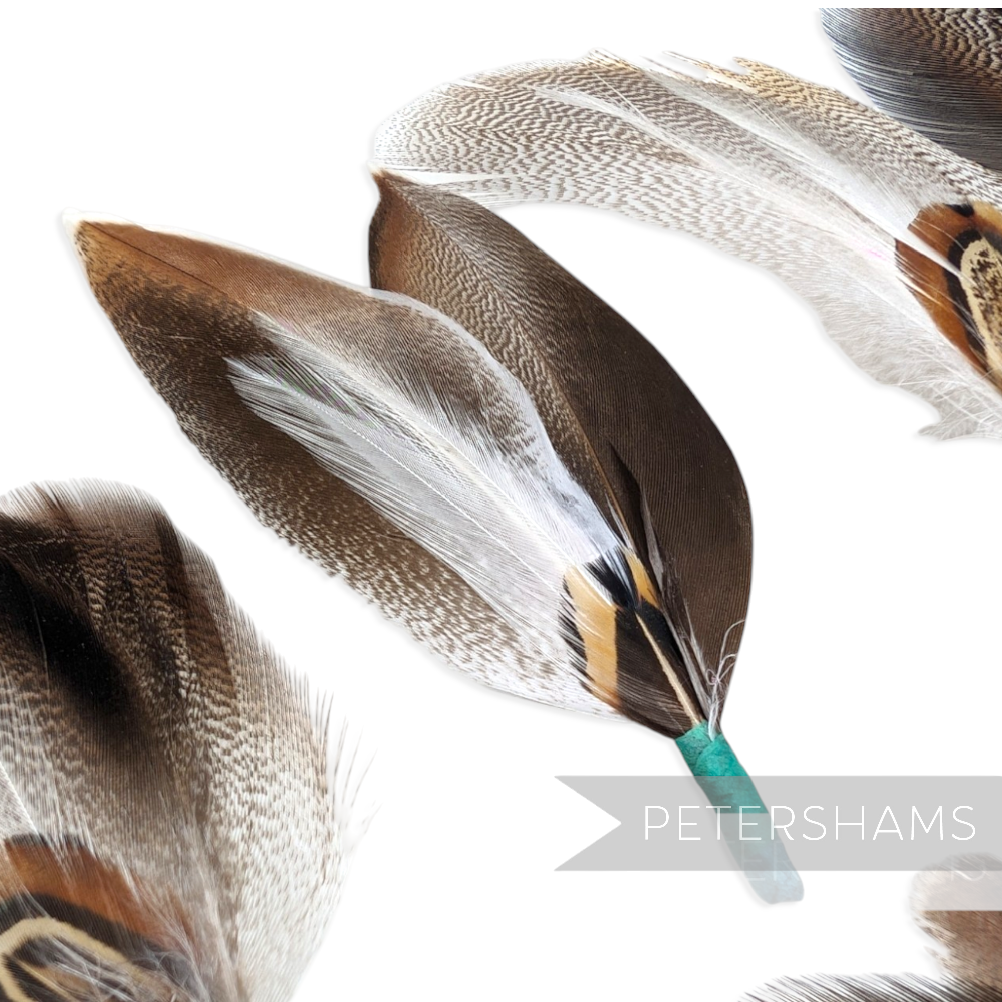 Petershams Millinery Supplies natural feather hat mounts with jade blue tape binding for millinery and hat decoration.