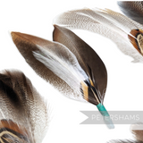 Petershams Millinery Supplies natural feather hat mounts with jade blue tape binding for millinery and hat decoration.