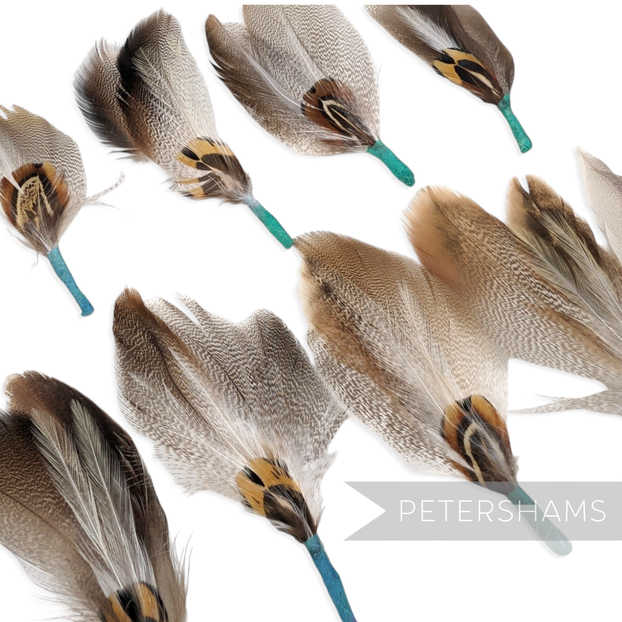 Petershams Millinery Supplies pack of 12 natural brown and white patterned feather hat mounts with jade blue tape