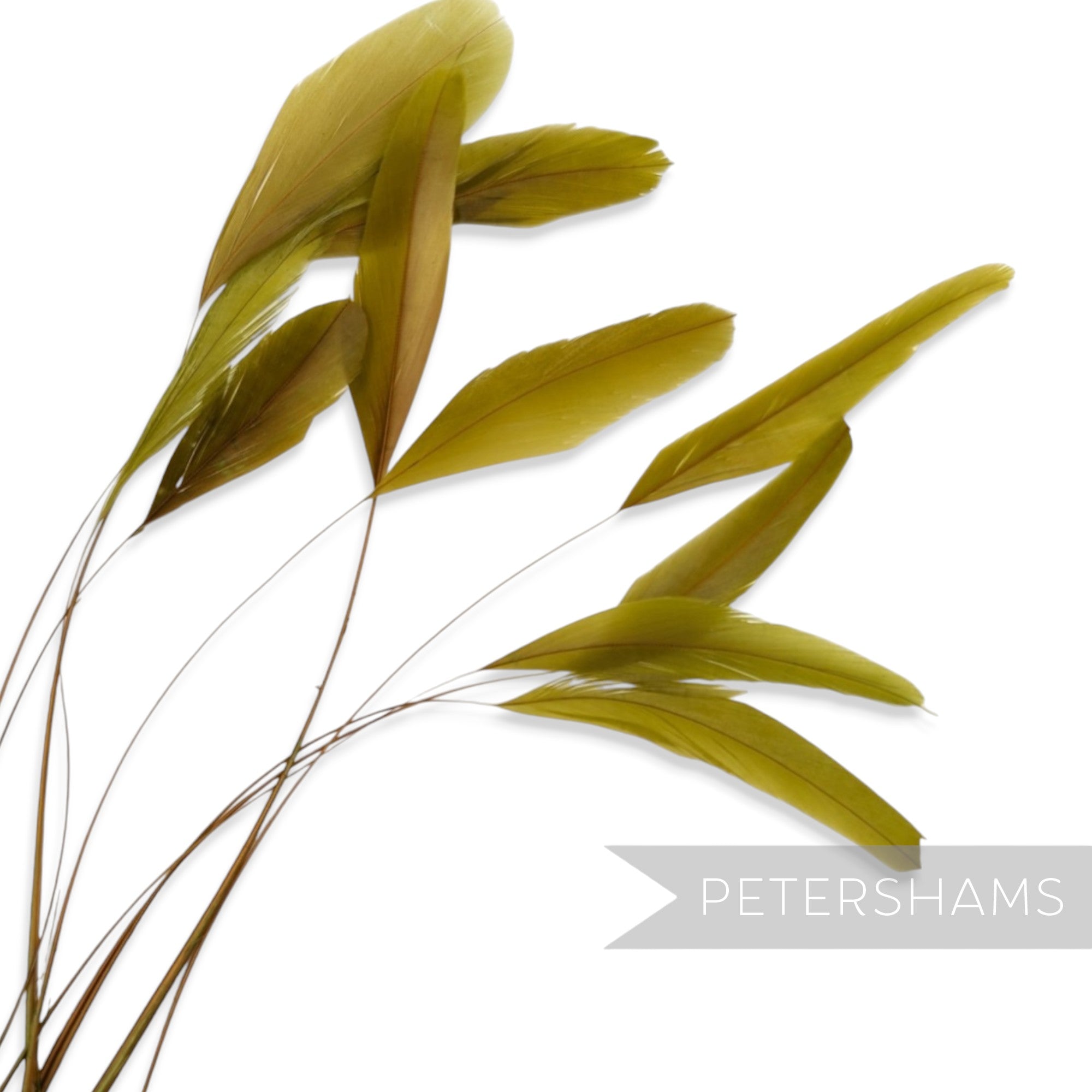 Petershams Millinery Supplies long loose olive green stripped coque feathers for millinery and fascinator making