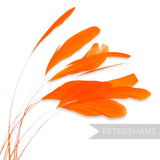 Petershams Millinery Supplies long loose orange stripped coque feathers for millinery and fascinator making