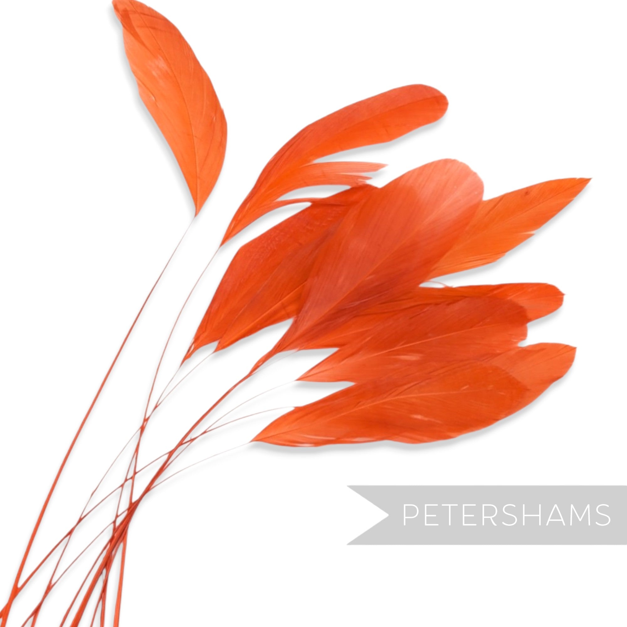 Petershams Millinery Supplies long loose burnt orange stripped coque feathers for fascinators and millinery projects