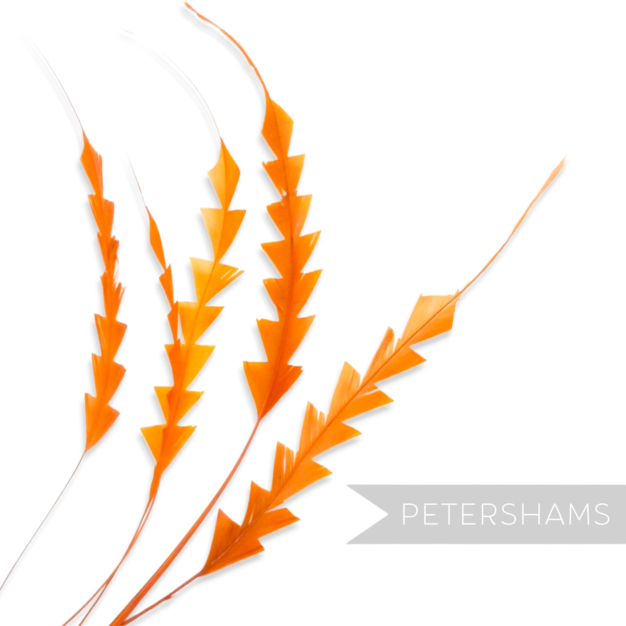 Petershams Millinery Supplies orange zig zag coque feathers for hat making and millinery projects.