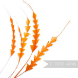 Petershams Millinery Supplies orange zig zag coque feathers for hat making and millinery projects.
