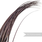 Petershams Millinery Supplies mink stripped ostrich quill feather for hat making and millinery projects