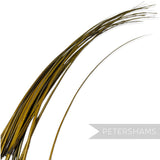 Petershams Millinery Supplies long  chartreuse stripped ostrich quill feather for hat making and millinery crafts