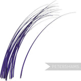 Petershams Millinery Supplies long royal blue stripped ostrich quill feather for hat making and millinery crafts.