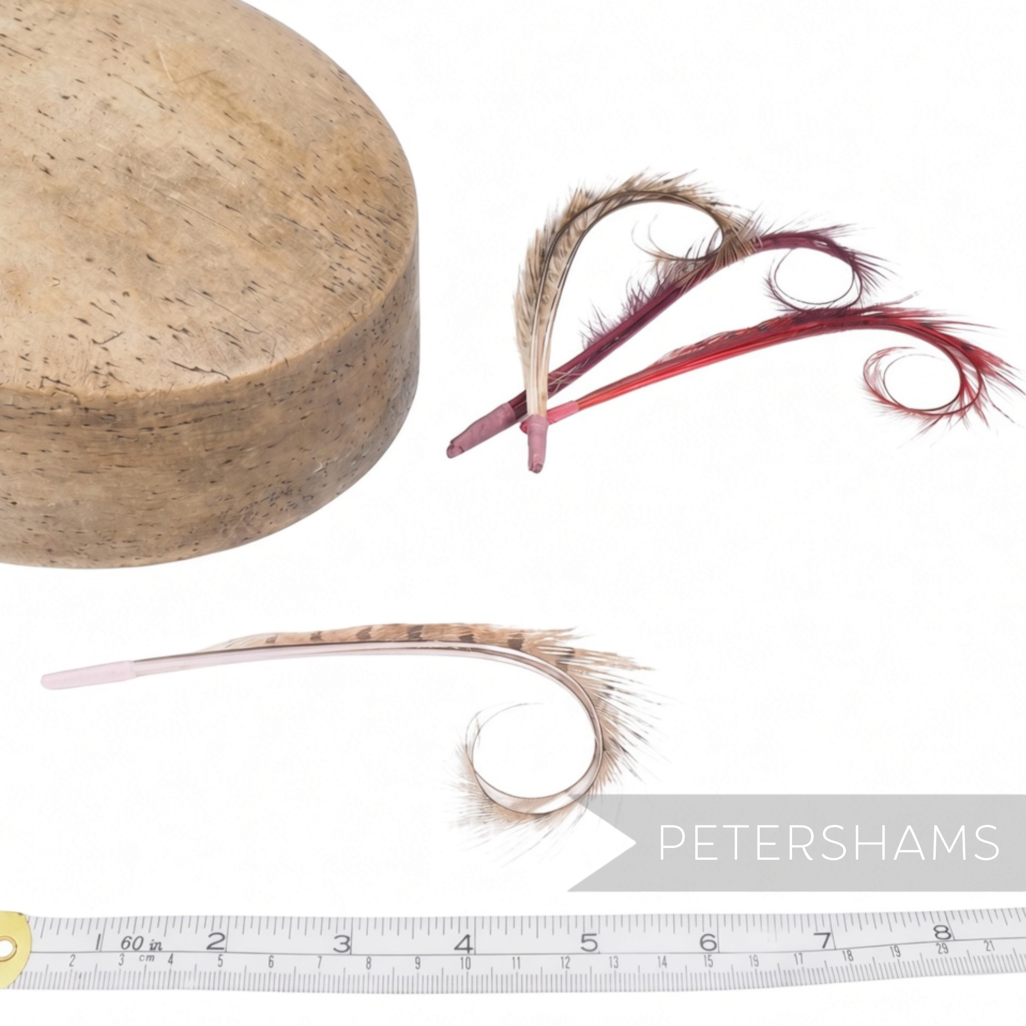 Petershams Millinery Supplies curled and burnt pheasant feather hat mount with wispy dyed tips for headpiece design.