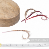 Petershams Millinery Supplies curled and burnt pheasant feather hat mount with wispy dyed tips for headpiece design.
