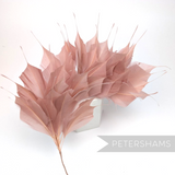 Petershams Millinery Supplies large dusky pink spiky goose feather wired hat mount for millinery headpieces