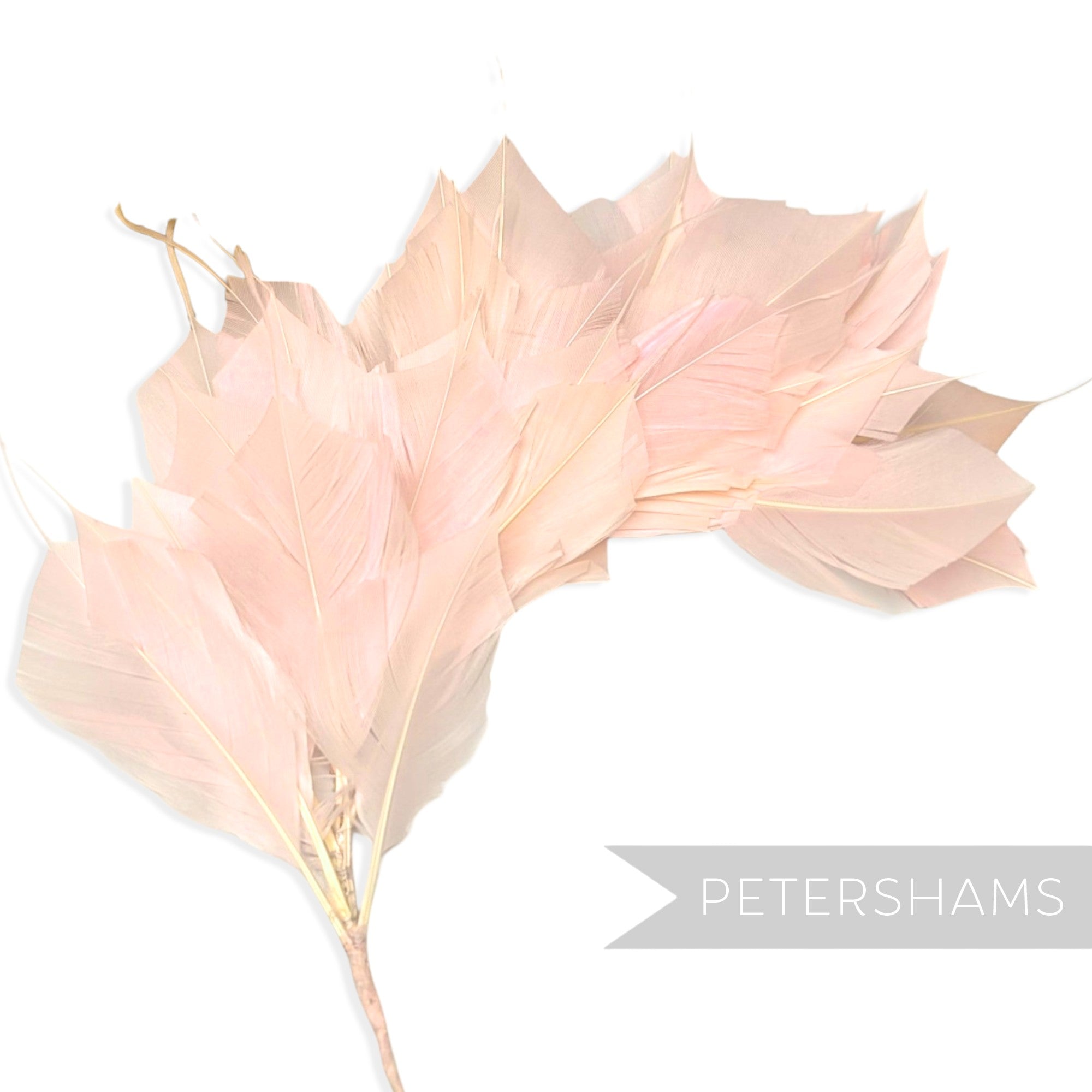 Petershams Millinery Supplies large pale pink spiky goose feather wired hat mount for millinery and headpieces