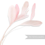 Petershams Millinery Supplies long loose pale pink stripped coque feathers for millinery and fascinator making