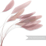 Petershams Millinery Supplies pack of 10 long loose dusty pink stripped coque feathers for fascinator making