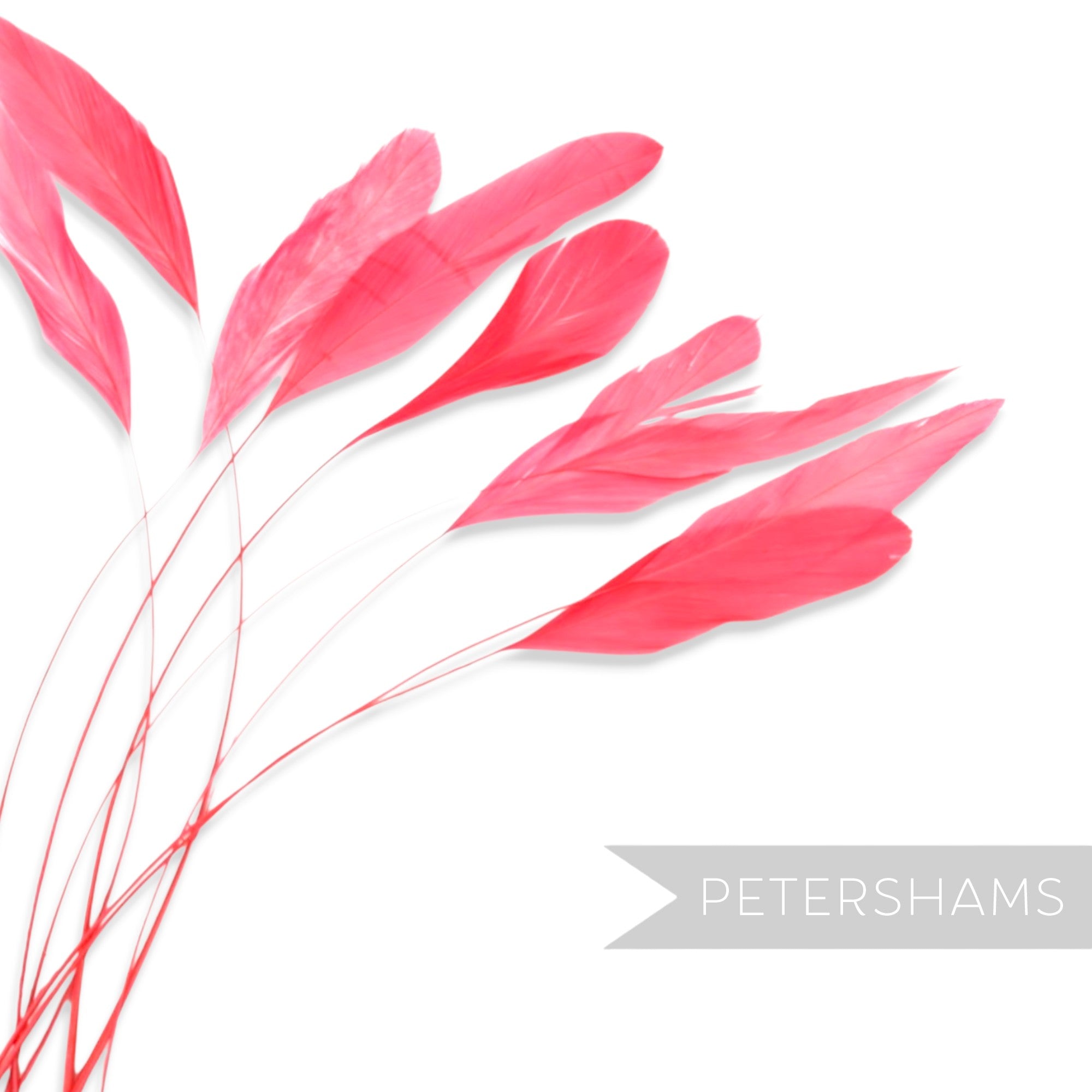 Petershams Millinery Supplies long loose hot pink stripped coque feathers for fascinators and millinery projects