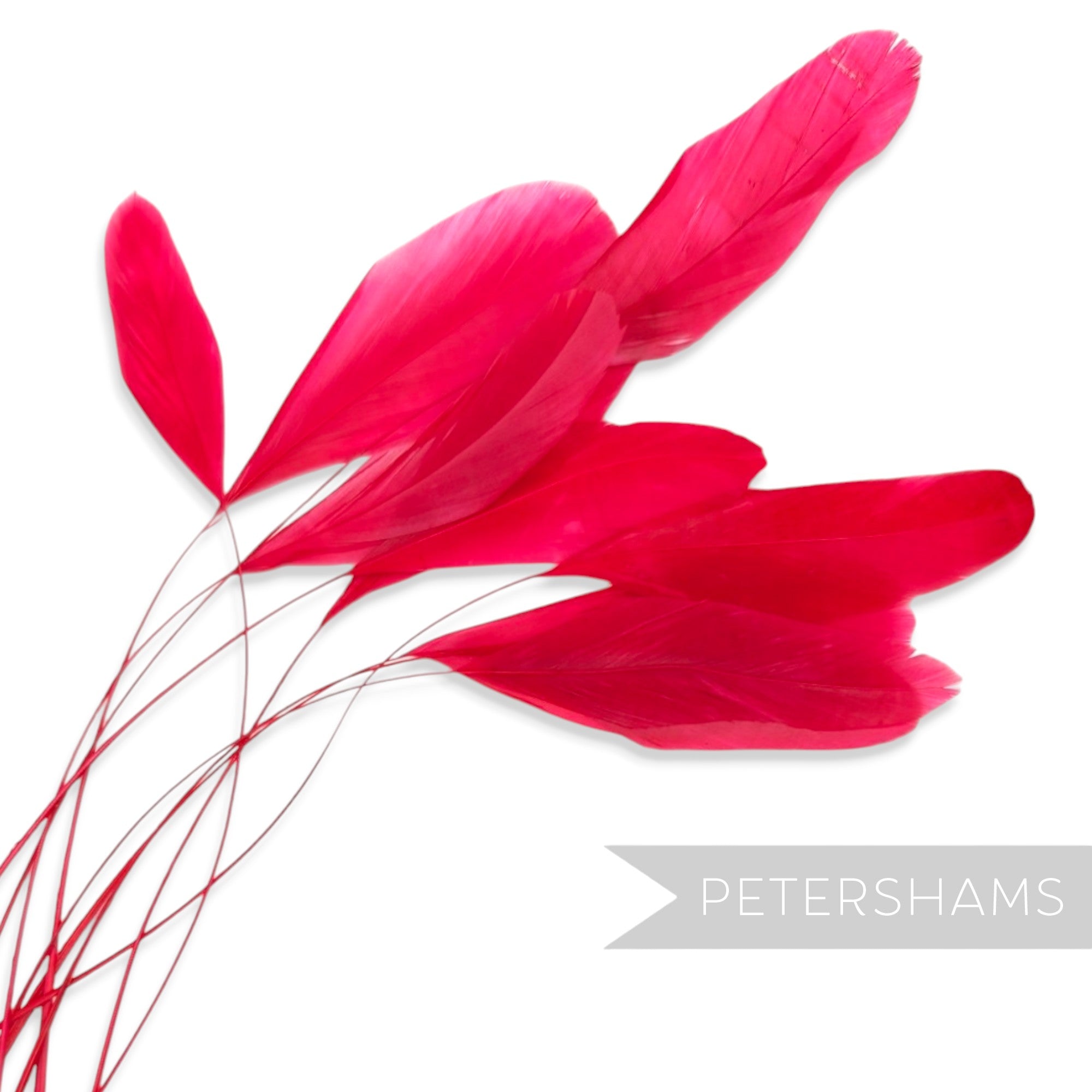 Petershams Millinery Supplies pack of 10 long loose hot pink stripped coque feathers for millinery and fascinators