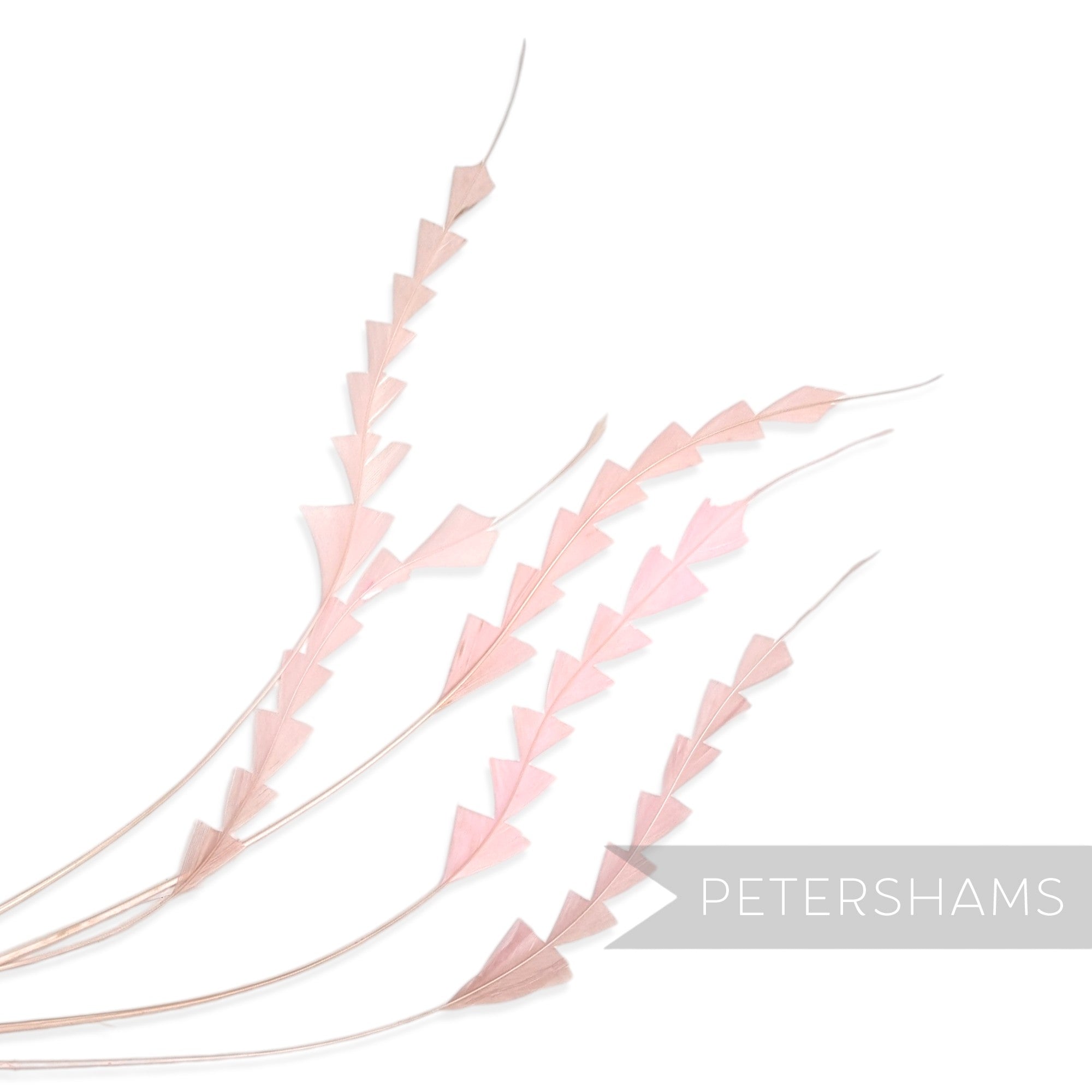 Petershams Millinery Supplies pack of 5 pale pink hand-trimmed zig zag coque feathers for hat making
