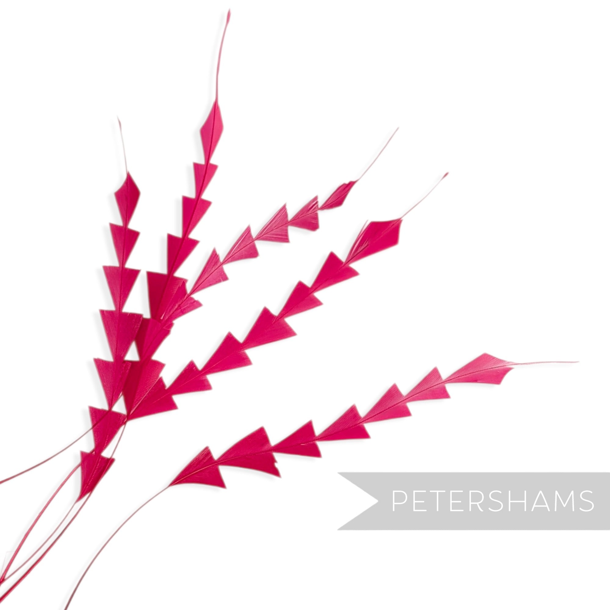Petershams Millinery Supplies hot pink zig zag coque feathers for hat making and millinery crafts