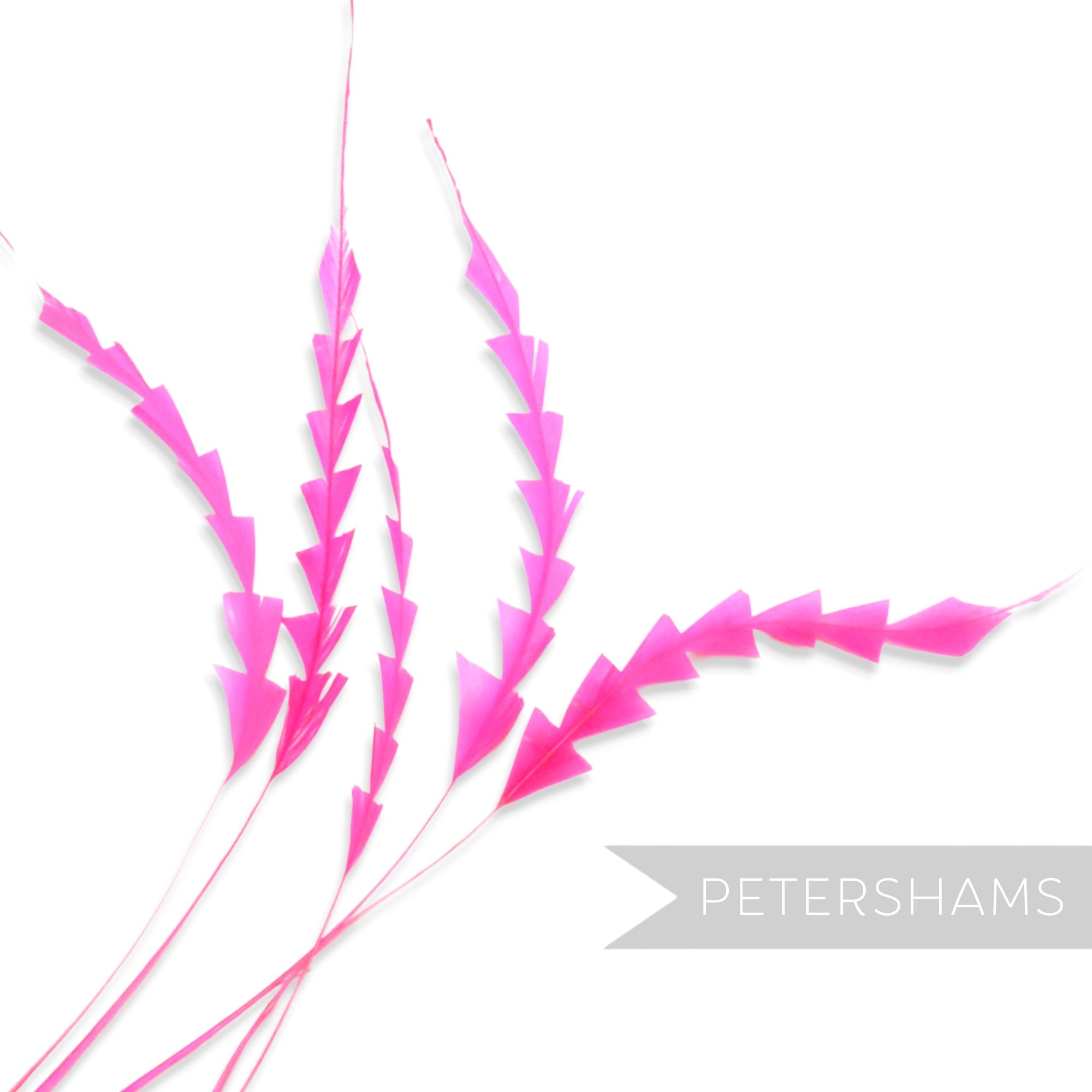 Petershams Millinery Supplies pack of five bright pink hand-trimmed zig zag coque feathers for hat making