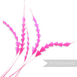 Petershams Millinery Supplies pack of five bright pink hand-trimmed zig zag coque feathers for hat making