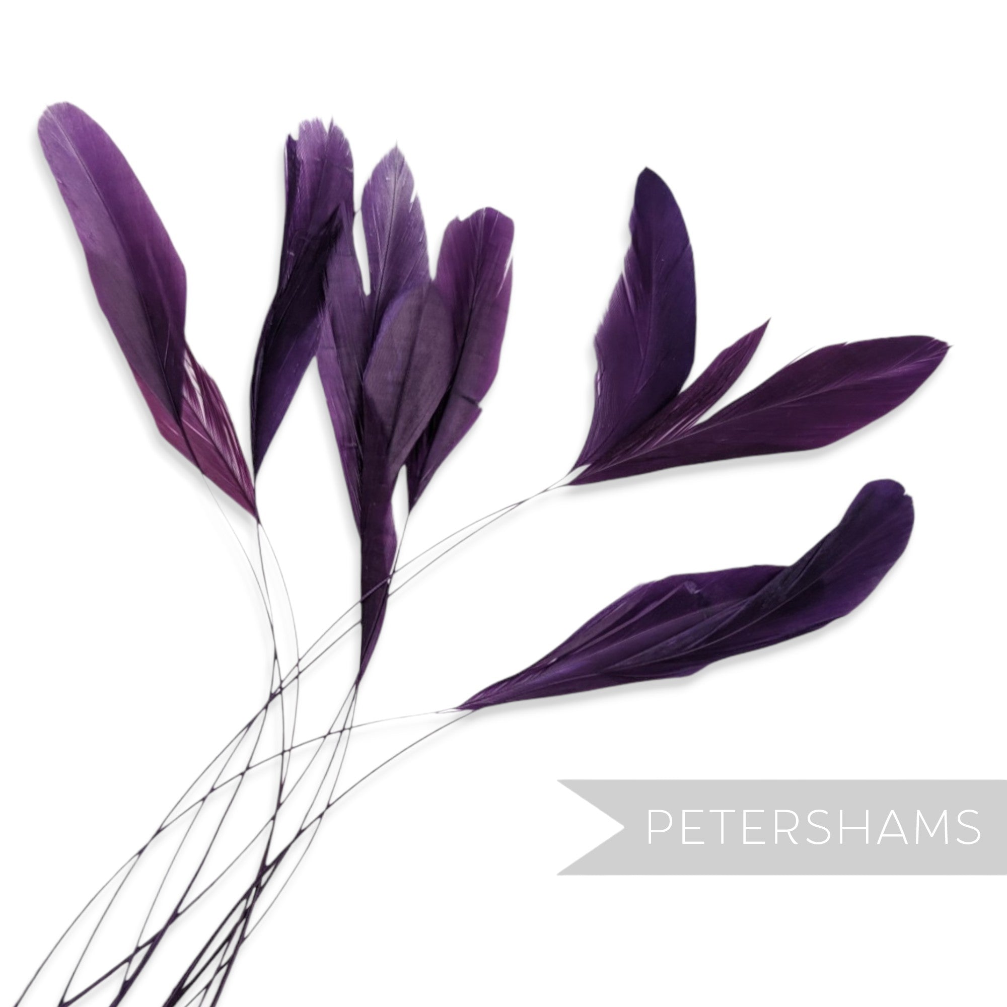 Petershams Millinery Supplies purple stripped coque feathers for fascinators and millinery projects