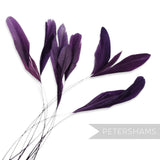 Petershams Millinery Supplies purple stripped coque feathers for fascinators and millinery projects