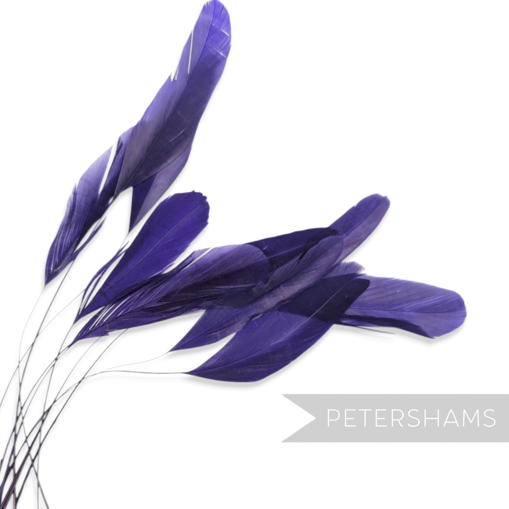 Petershams Millinery Supplies pack of 10 long purple stripped coque feathers for millinery and fascinator making.