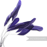 Petershams Millinery Supplies pack of 10 long purple stripped coque feathers for millinery and fascinator making.