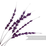 Petershams Millinery Supplies pack of five purple coque feathers hand-trimmed into a decorative zig zag pattern