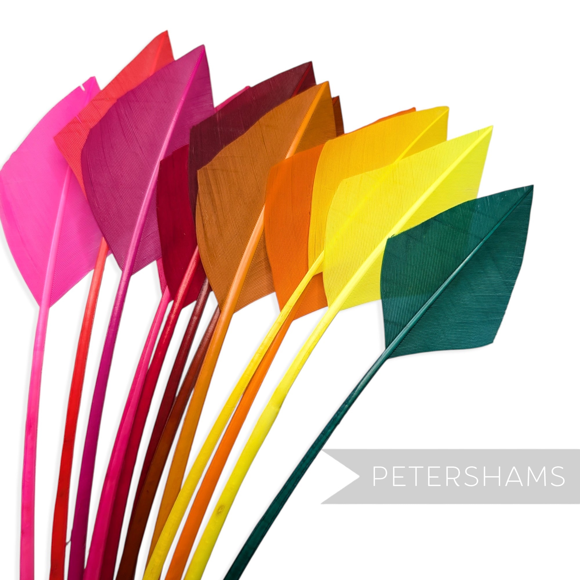 Petershams Millinery Supplies arrowhead turkey quill feathers in a vibrant rainbow gradient of colours