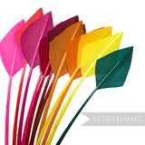 Petershams Millinery Supplies arrowhead turkey quill feathers in a vibrant rainbow gradient of colours