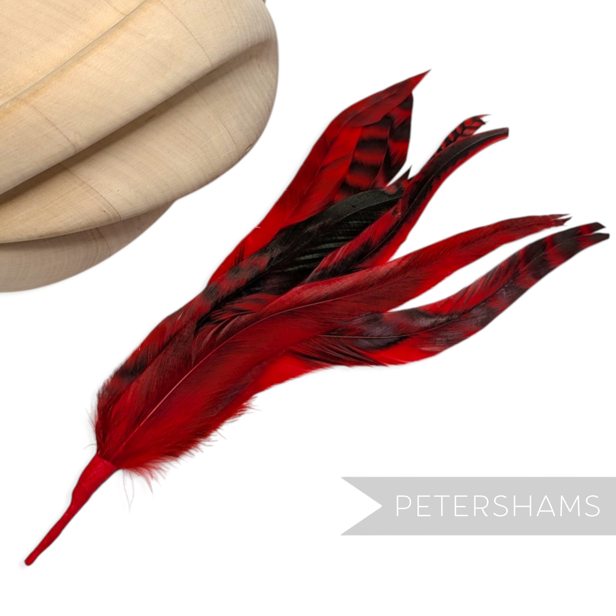 Petershams Millinery Supplies red and black chinchilla full coque feather hat mount with six patterned feathers.