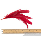 Petershams Millinery Supplies red full coque feather hat mount with six feathers on a wired stem, 25cm length