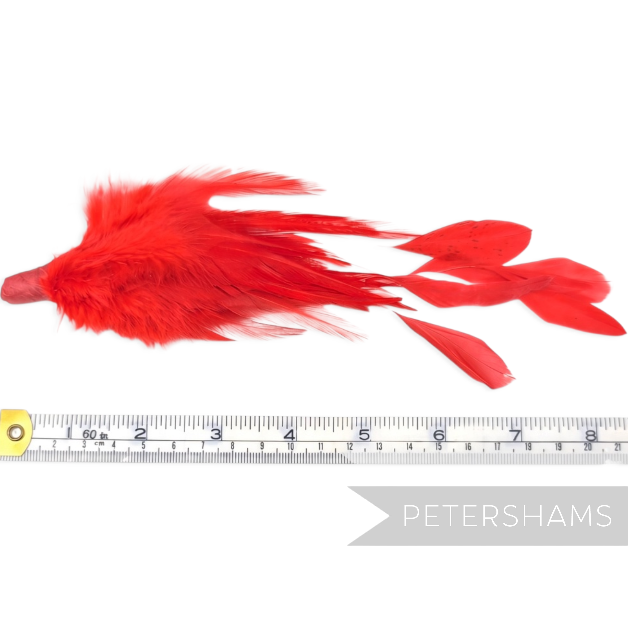 Petershams Millinery Supplies red hackle and stripped coque feather hat mount measuring 18-20cm long.