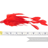 Petershams Millinery Supplies red hackle and stripped coque feather hat mount measuring 18-20cm long.