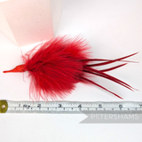 Petershams Millinery Supplies red marabou and goose biot feather hat mount measuring 17cm for fascinators.