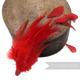 Petershams Millinery Supplies red hackle and stripped coque feather hat mount for fascinators